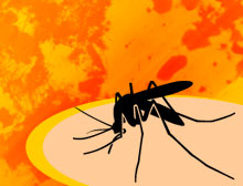 story.generic.west.nile.jpg