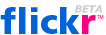 Flickr Logo: click to get home