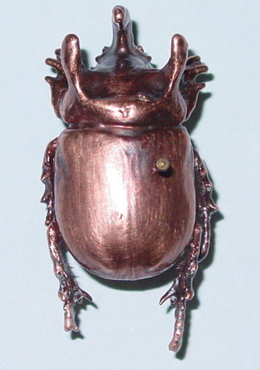 metalized_Scarabaeidae_small1.jpg (45322 bytes)